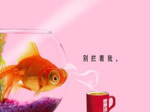 色彩魔法：一键提升作品质感