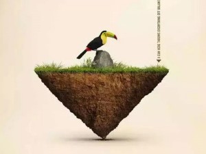 设计师作品集避坑指南：7个让客户瞬间心动的方法