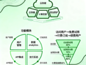 科技行业专属品牌调研策略