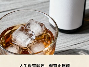 成功应用广告修辞艺术原则的案例