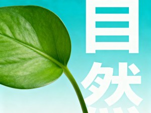 广告修辞的四条艺术原则